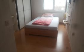 Appartement Altstadt Mainz